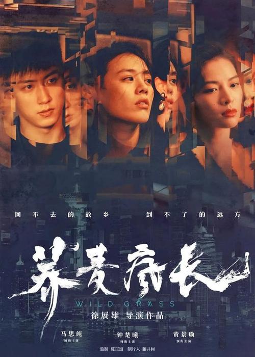 江西吉安高中毕业证